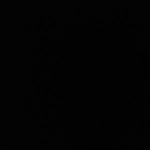 Meet your Posher, Shanda